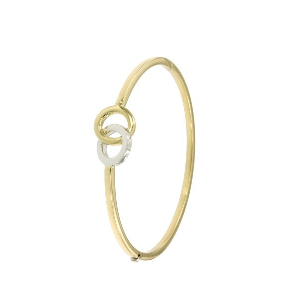 bangle-dubbele-ring-bicolor