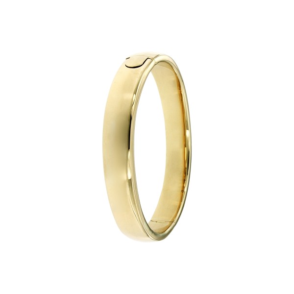 bangle-ovaal-10-mm