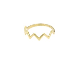 ring-88-kroon-geelgoud