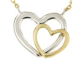 symbol-chain-hart-dubbel