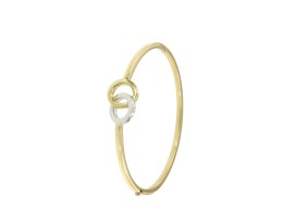 bangle-dubbele-ring-bicolor