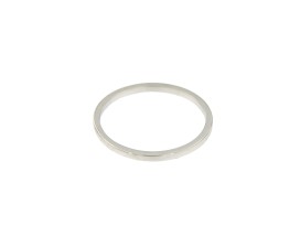 ring-101-witgoud