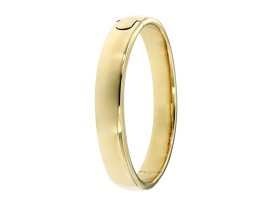bangle-ovaal-10-mm