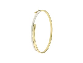 bangle-vlak-bicolor