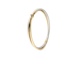 bangle-gekruisd-bicolor