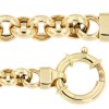 jasseron-hol-geelgoud-45-cm-5-mm