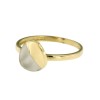 ring-124-bicolor 