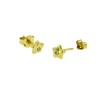 Oorsteker-diamant-ster-18karaat