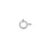 veerring-versterkt-zilver