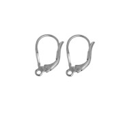 Oorbrichures met open oog zilver