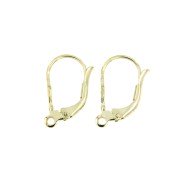 Oorbrichures met open oog 14 kt geelgoud