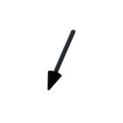 Waspik