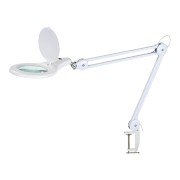 Lamp Drijfhout met LED verlichting en vergrootglas