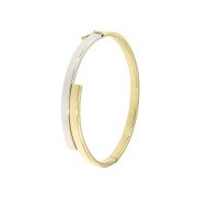 Bangle vlak breed bicolor